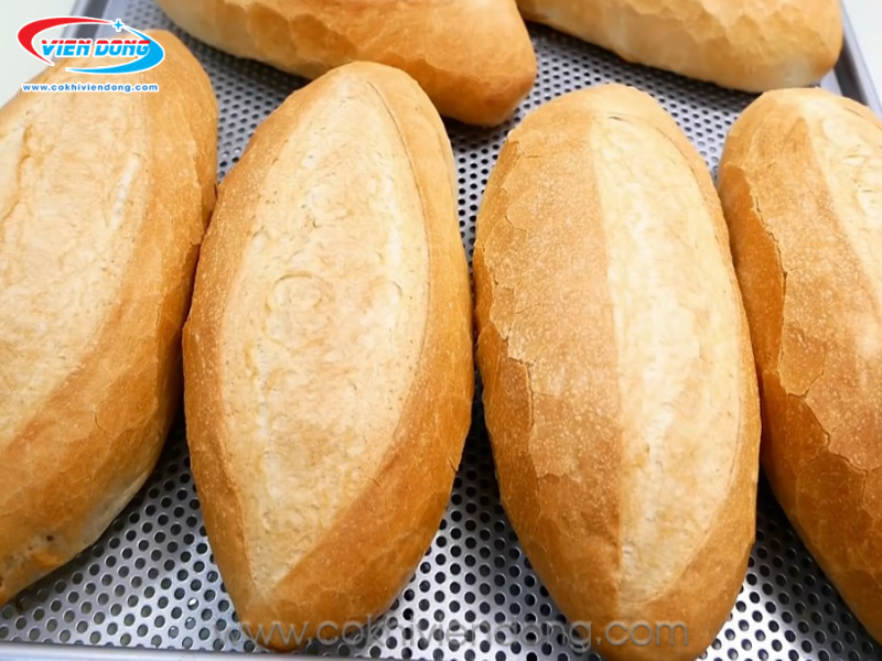 Lò nướng bánh mì đối lưu