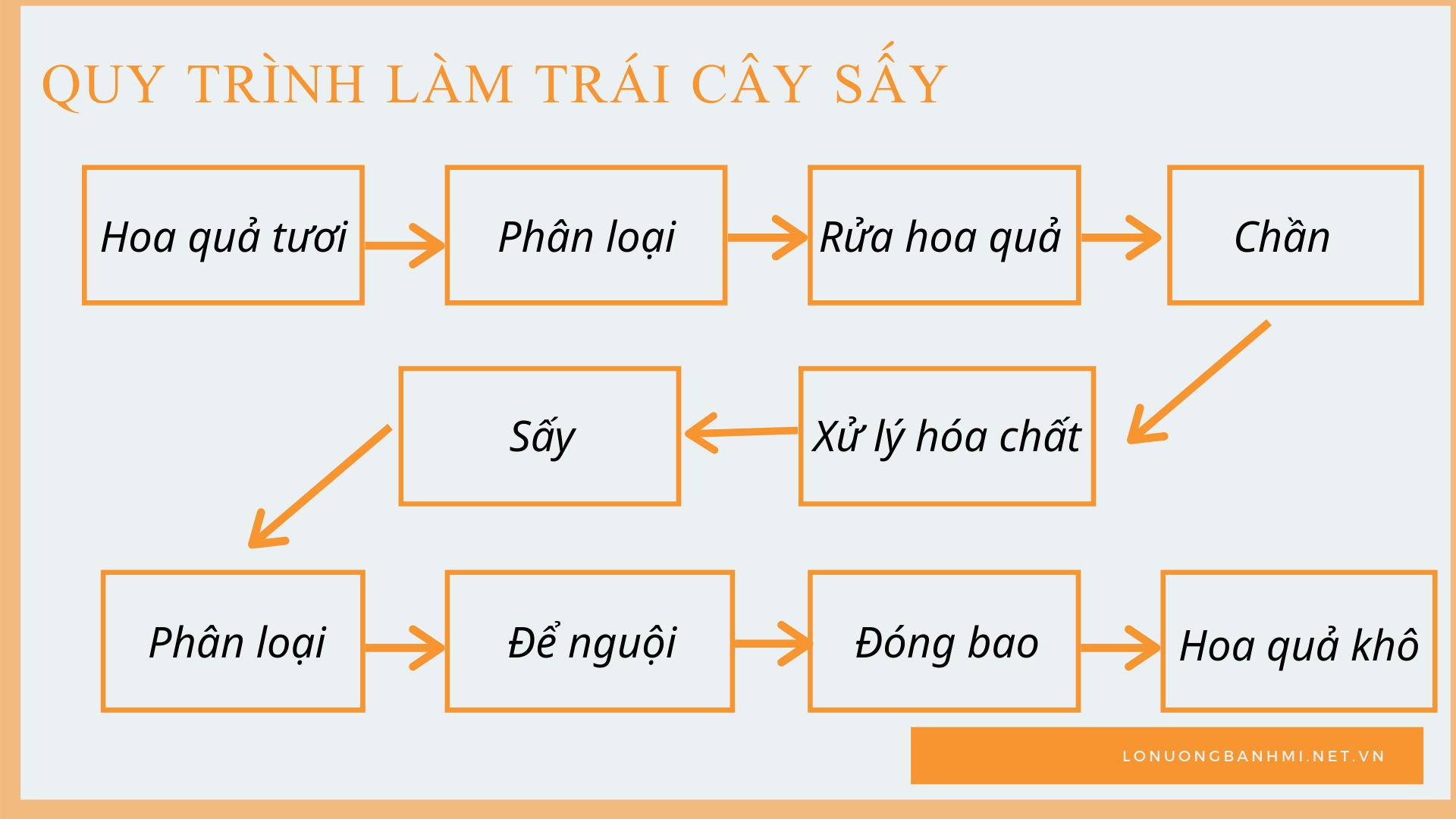 Quy Trình Sản Xuất Trái Cây Sấy: Bước Tiến Đột Phá Trong Công Nghệ Thực Phẩm