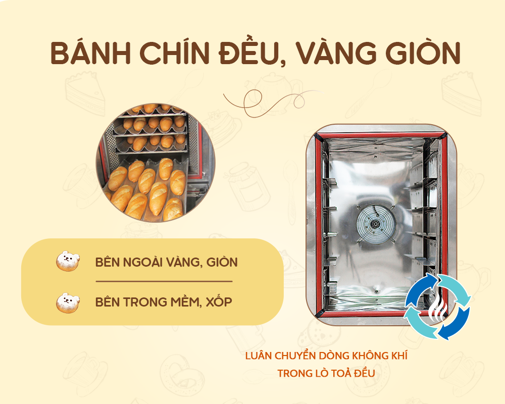 Lò nướng bánh mì đối lưu Việt Nam