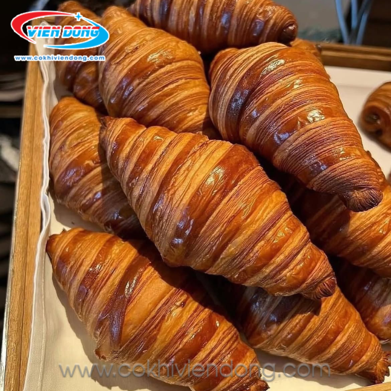 Lò nướng bánh ngọt 1 tầng 2 khay