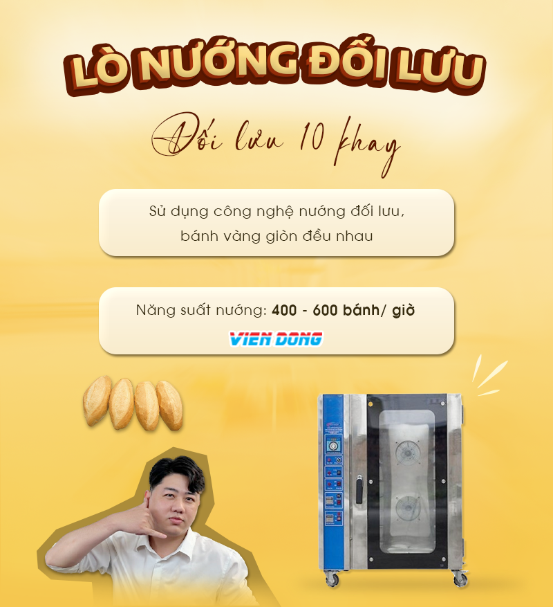 Lò nướng bánh mì đối lưu 10 khay Việt Nam